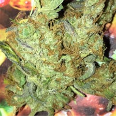 User uploaded image of Sour Power