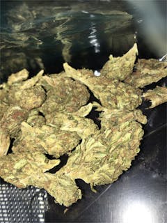 User uploaded image of Sour Power