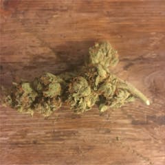User uploaded image of Sour Spyder