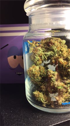 User uploaded image of Sour Strawberry Diesel