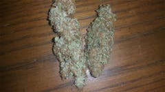 User uploaded image of Sour Strawberry Diesel