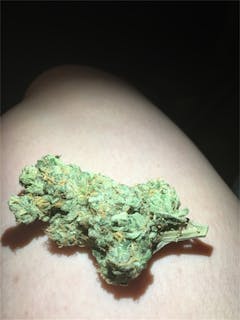 User uploaded image of Sour Strawberry Diesel
