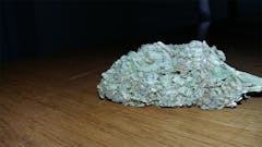 User uploaded image of Sour Strawberry Diesel