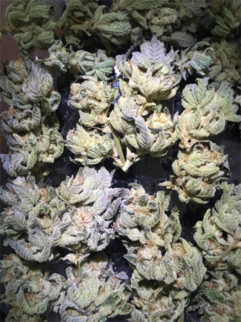 Sour Sunset Weed Strain Information Leafly