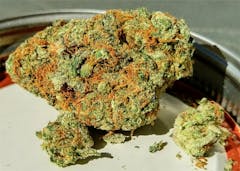 User uploaded image of Sour Tangie