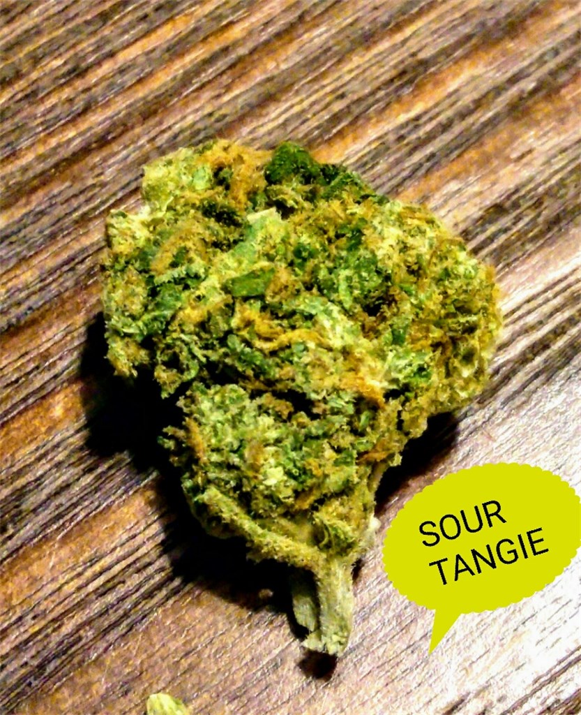 sour-tangie__primary_85b1.jpg?