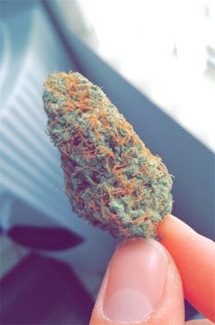 User uploaded image of Sour Tsunami