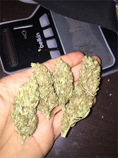 User uploaded image of Sour Tsunami