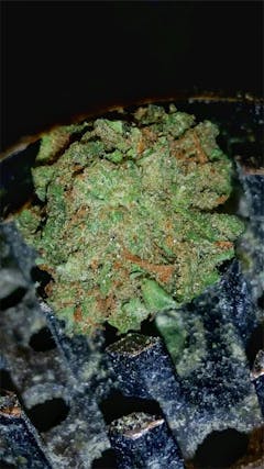 User uploaded image of Sour Tsunami