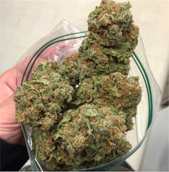 User uploaded image of Sour Urkle