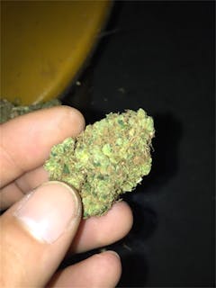User uploaded image of Sour Urkle