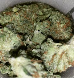 User uploaded image of Sour Willie