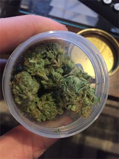 User uploaded image of Sour Willie