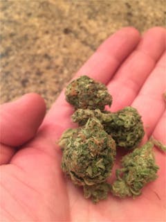 User uploaded image of Sour Willie