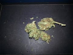 User uploaded image of Sourlope