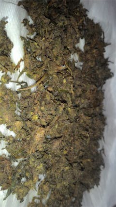 User uploaded image of South American