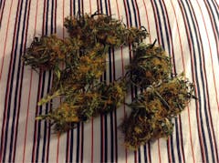 User uploaded image of South American