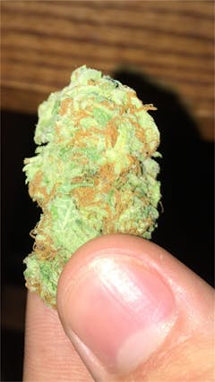 User uploaded image of South American