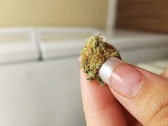 User uploaded image of Southern Lights