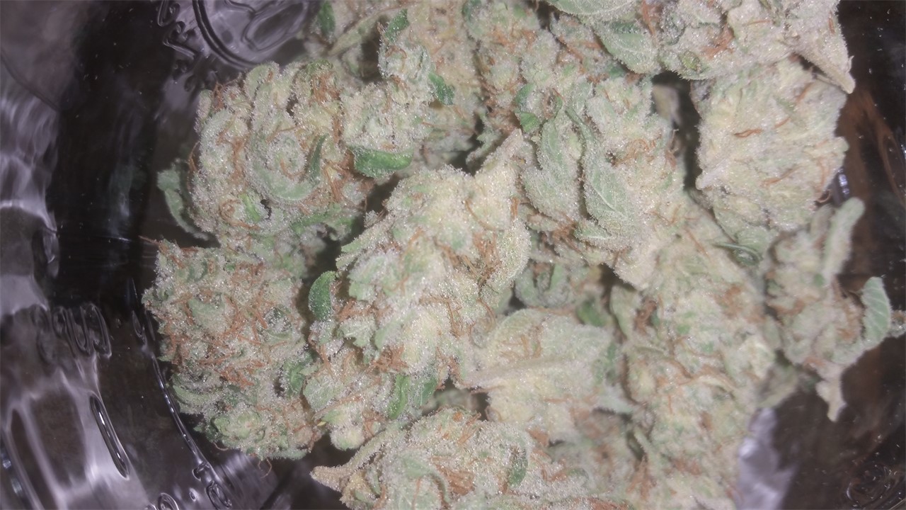 Sugar Candy Leafly