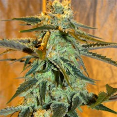 User uploaded image of Space Cream