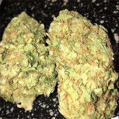 User uploaded image of Space Dawg