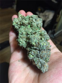 User uploaded image of Space Dawg