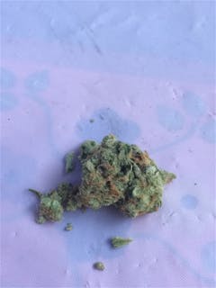 User uploaded image of Space Dawg