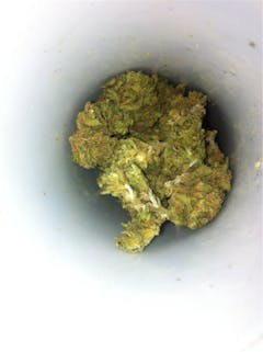 User uploaded image of Space Dawg