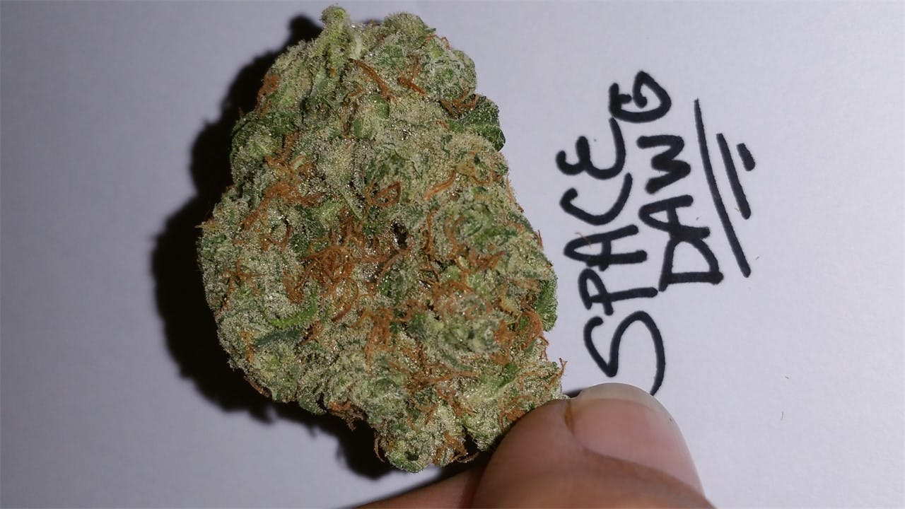 Space Dawg Weed Strain Information Leafly
