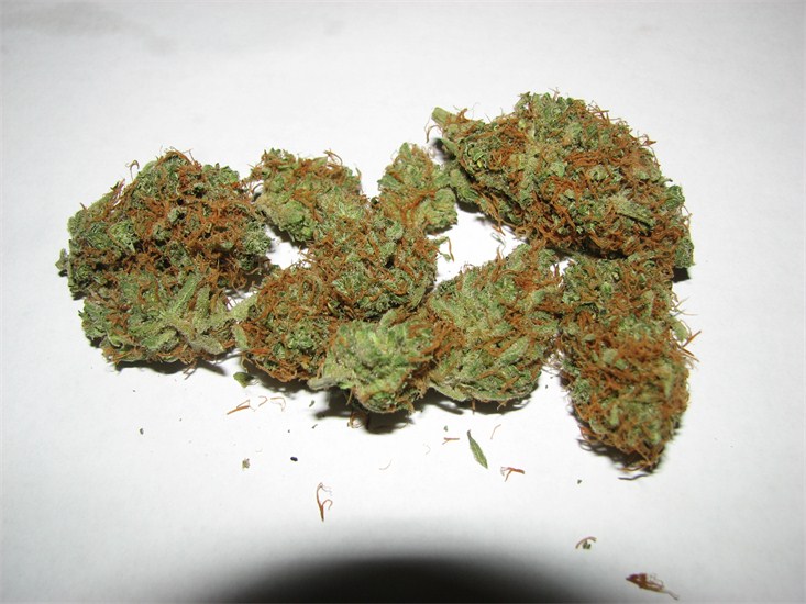Space Jill Strain - Sativa Cannabis Review, CBD, THC : Hytiva