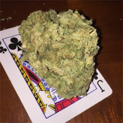 User uploaded image of Space Monster