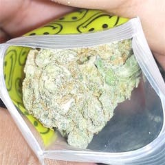 User uploaded image of Space Needle