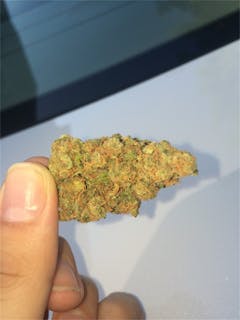 User uploaded image of Space Needle