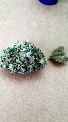 User uploaded image of Space Needle