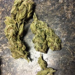 User uploaded image of Space Queen