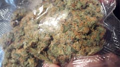 User uploaded image of Special Kush #1