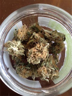 User uploaded image of Special Kush #1