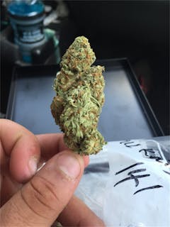 User uploaded image of Spirit of '76