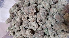 User uploaded image of Spirit of '76