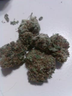 User uploaded image of Spirit of '76