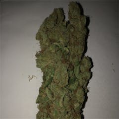 User uploaded image of Spoetnik #1