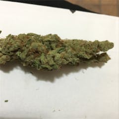 User uploaded image of Spoetnik #1