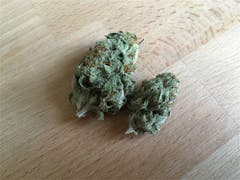 User uploaded image of Sputnik