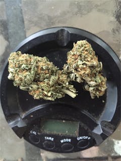 User uploaded image of Star Master Kush