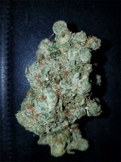 User uploaded image of Star Master Kush