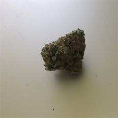 User uploaded image of StarBud