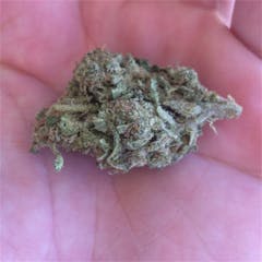 User uploaded image of Stardawg Guava