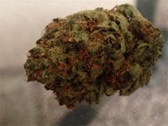 User uploaded image of Starfighter