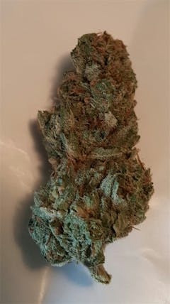 User uploaded image of Starfighter